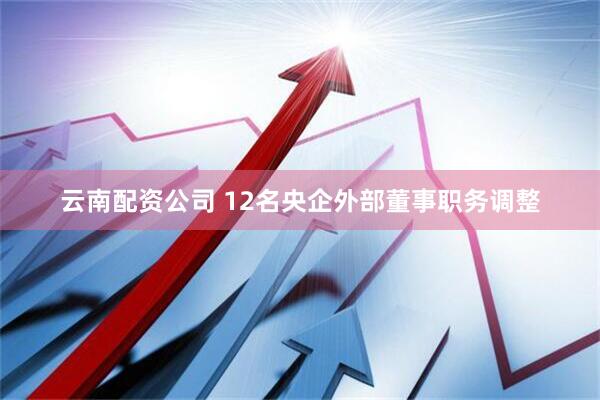 云南配资公司 12名央企外部董事职务调整