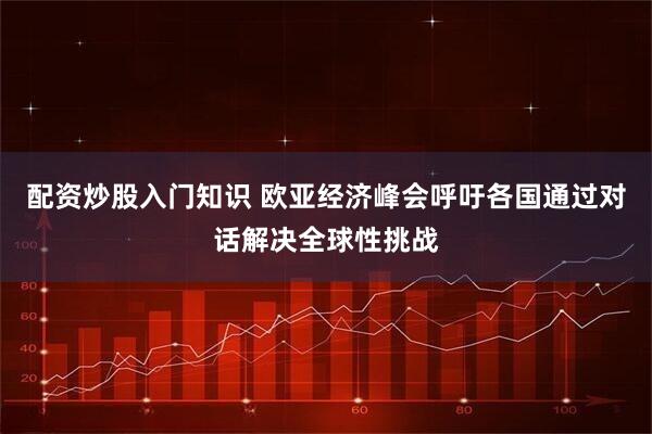 配资炒股入门知识 欧亚经济峰会呼吁各国通过对话解决全球性挑战