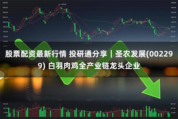 股票配资最新行情 投研通分享｜圣农发展(002299) 白羽肉鸡全产业链龙头企业