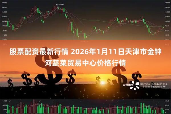股票配资最新行情 2026年1月11日天津市金钟河蔬菜贸易中心价格行情